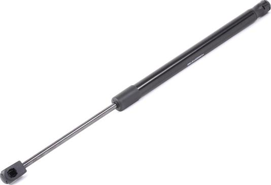 RIDEX 219G0890 - Amortizor portbagaj aaoparts.ro