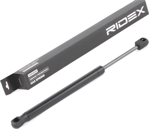 RIDEX 219G0898 - Amortizor portbagaj aaoparts.ro