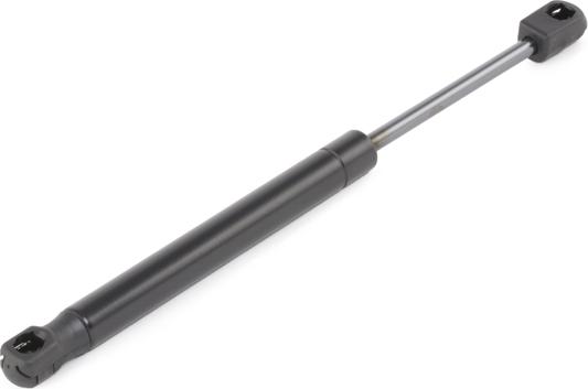 RIDEX 219G0898 - Amortizor portbagaj aaoparts.ro