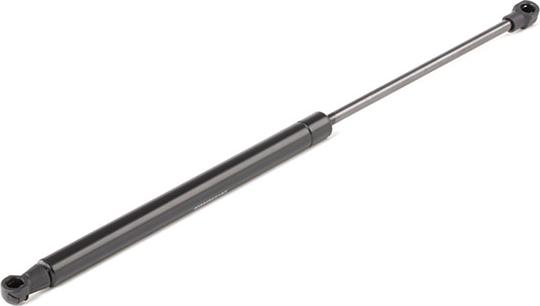 RIDEX 219G0356 - Amortizor portbagaj aaoparts.ro
