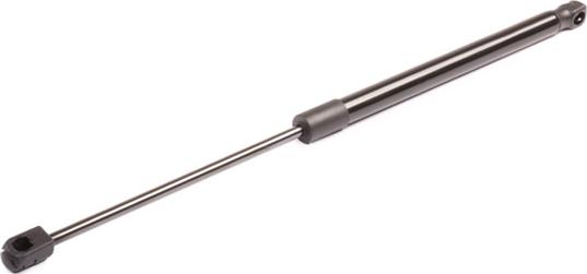 RIDEX 219G0268 - Amortizor portbagaj aaoparts.ro