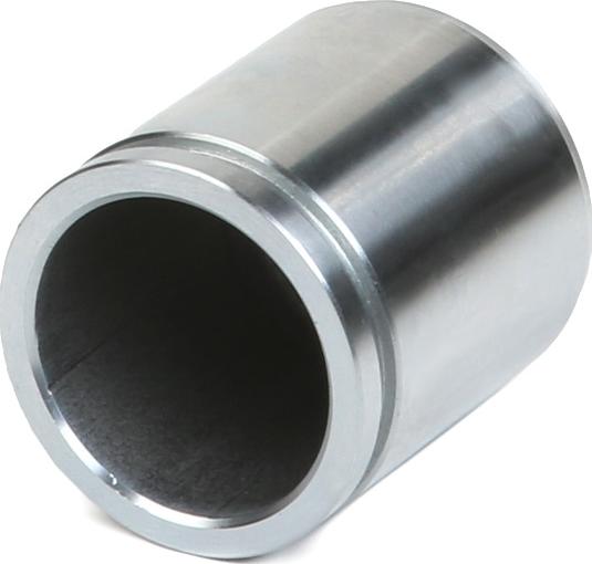 RIDEX 2248P0041 - Piston, etrier frana aaoparts.ro
