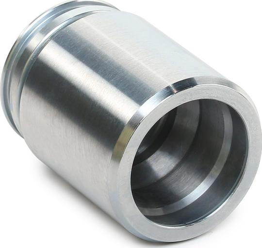 RIDEX 2248P0055 - Piston, etrier frana aaoparts.ro