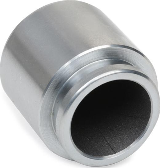 RIDEX 2248P0005 - Piston, etrier frana aaoparts.ro