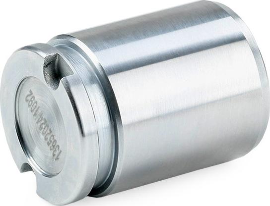 RIDEX 2248P0016 - Piston, etrier frana aaoparts.ro