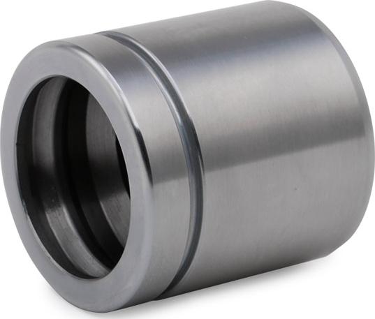 RIDEX 2248P0025 - Piston, etrier frana aaoparts.ro