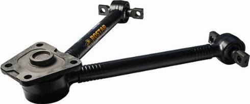 Rostar 1540-2919012-10 - Brat, suspensie roata aaoparts.ro