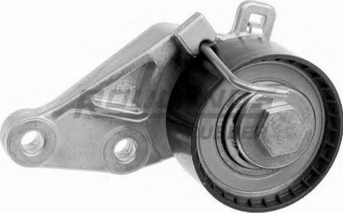 Roulunds Rubber T55226 - Rola intinzator,curea distributie aaoparts.ro