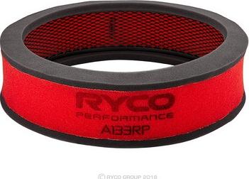 RYCO A133RP - Filtru aer aaoparts.ro
