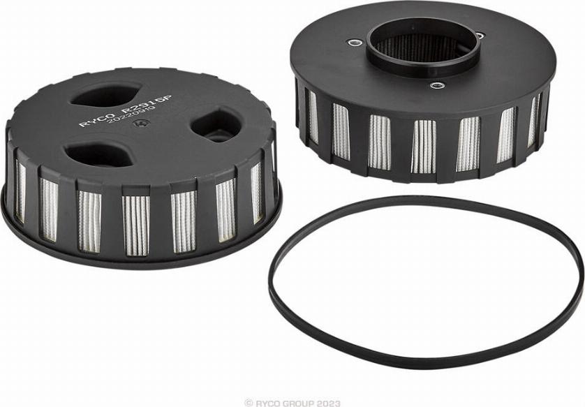 RYCO R2915P - Filtru, aerisire bloc motor aaoparts.ro