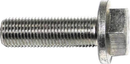 RYME 17049-3 - Surub, disc frana aaoparts.ro