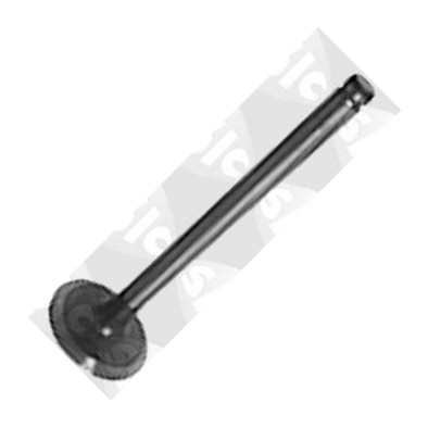 Sasic 9490600 - Supapa evacuare aaoparts.ro