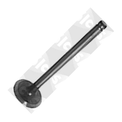 Sasic 9480590 - Supapa admisie aaoparts.ro