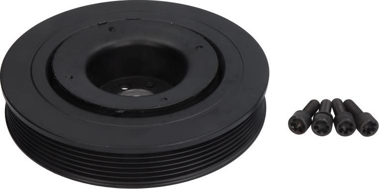 Sasic 9001813 - Fulie curea, arbore cotit aaoparts.ro