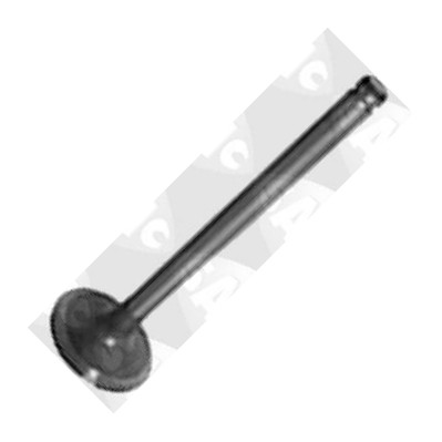 Sasic 4000906 - Supapa admisie aaoparts.ro