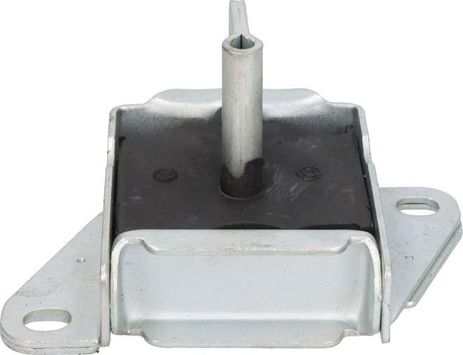 Sasic 4001384 - Suport motor aaoparts.ro