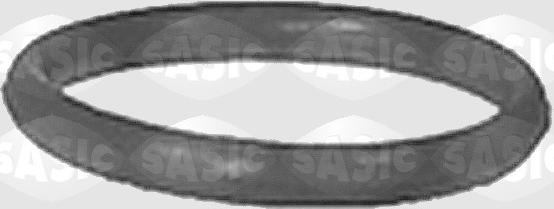 Sasic 3420E00 - Garnitura, galerie admisie aaoparts.ro
