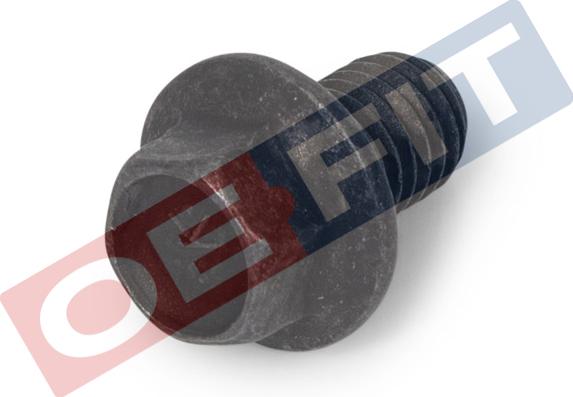 Schaeferbarthold 100 06 203 03 22 - Surub, placa de presiune aaoparts.ro