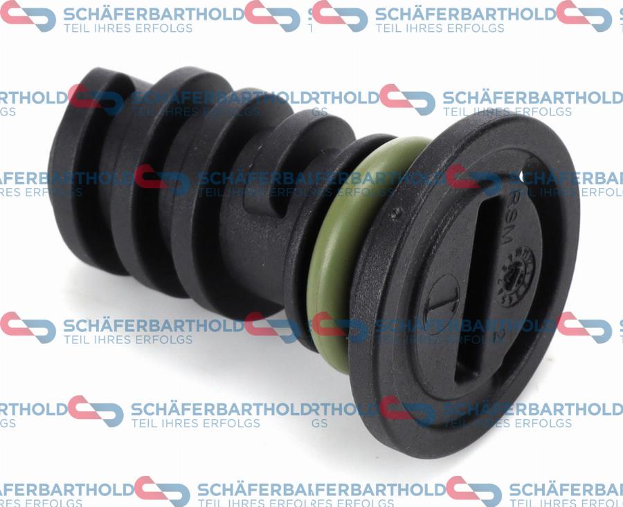 Schaeferbarthold 310 12 855 02 22 - Surub de golire,baia de ulei aaoparts.ro