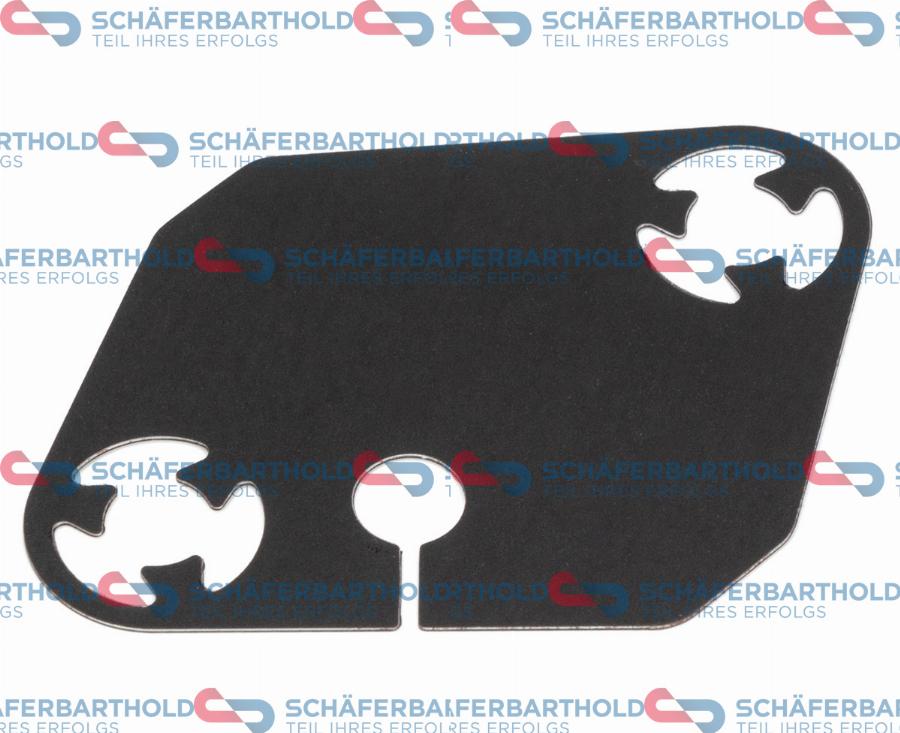 Schaeferbarthold 313 16 113 03 22 - Garnitura, Intinzator lant de distributie aaoparts.ro