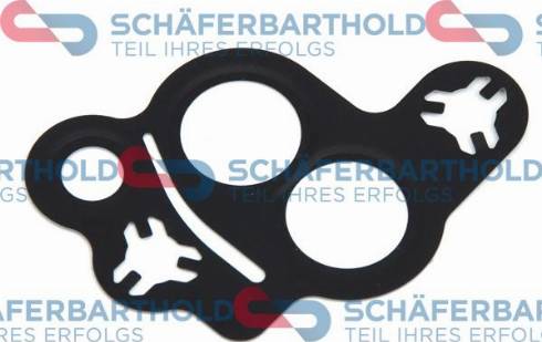 Schferbarthold 905 06 403 01 11 - Garnitura, ventil AGR aaoparts.ro