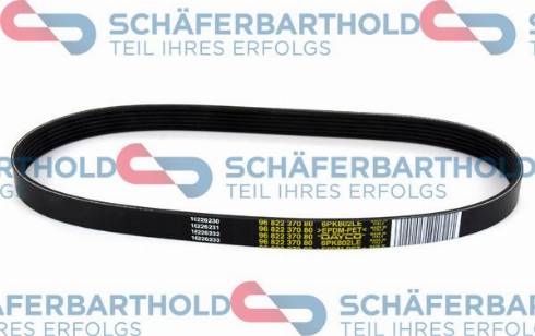 Schferbarthold 902 06 552 01 11 - Curea transmisie cu caneluri aaoparts.ro