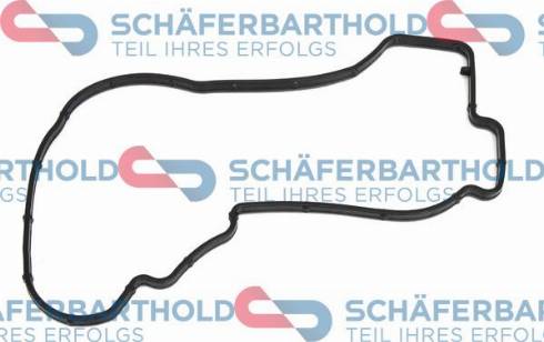 Schferbarthold 913 06 248 01 11 - Garnitura, capac supape aaoparts.ro