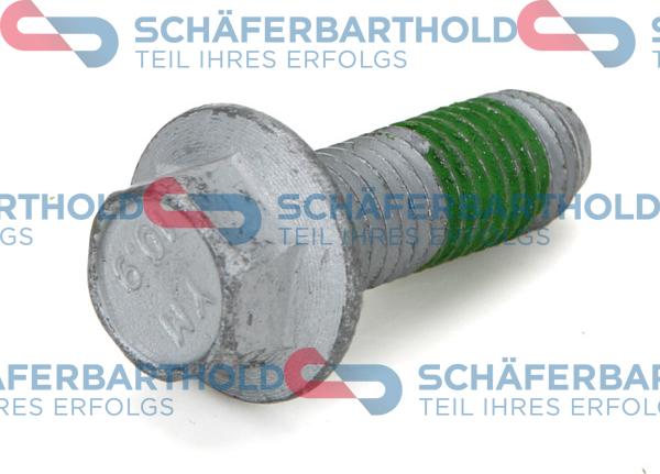 Schferbarthold 934 06 374 01 11 - Surub, disc frana aaoparts.ro