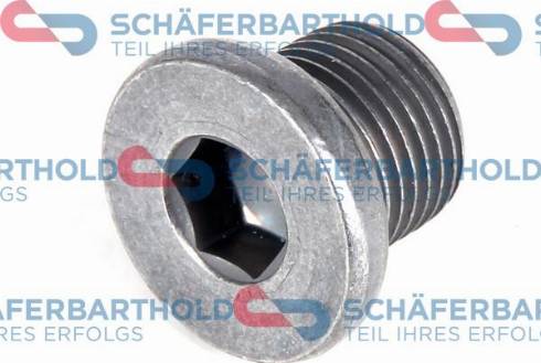 Schferbarthold 920 06 943 01 11 - Surub de golire,baia de ulei aaoparts.ro