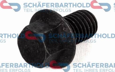 Schferbarthold 920 06 739 01 11 - Surub aaoparts.ro