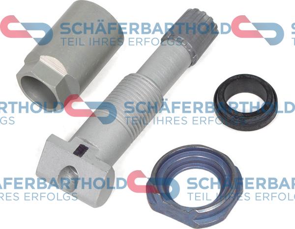 Schferbarthold 412 02 613 01 11 - Senzor, sistem de control al presiunii pneuri aaoparts.ro