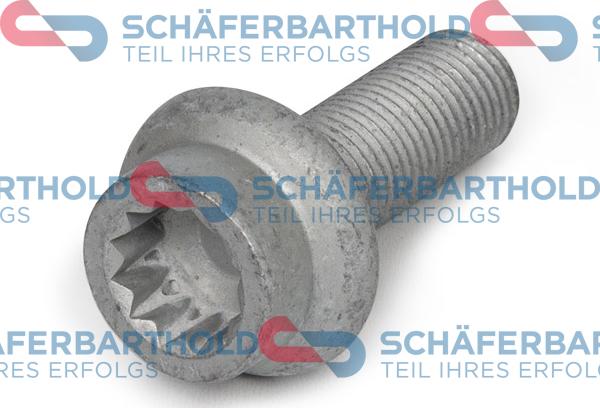 Schferbarthold 100 09 007 01 22 - Surub, etrier aaoparts.ro