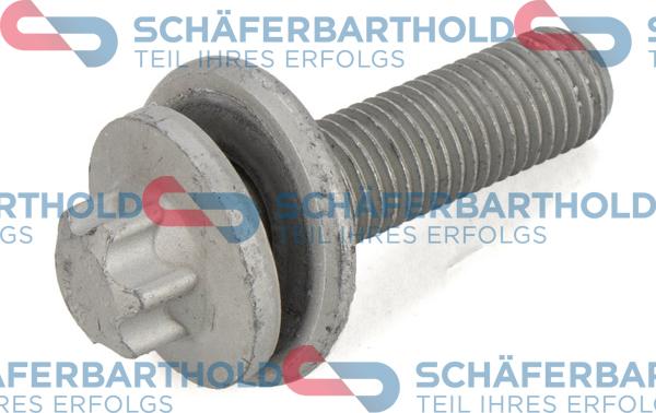 Schferbarthold 100 02 152 01 22 - Surub, etrier aaoparts.ro