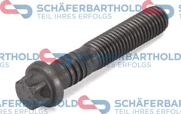 Schferbarthold 100 02 285 01 11 - Surub biela aaoparts.ro