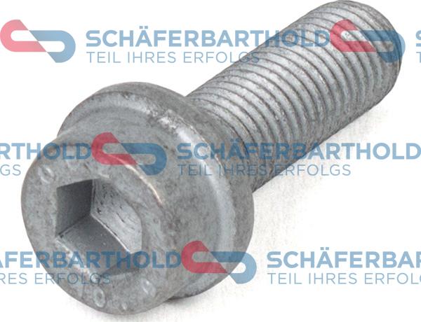 Schferbarthold 100 18 336 01 11 - Surub, etrier aaoparts.ro