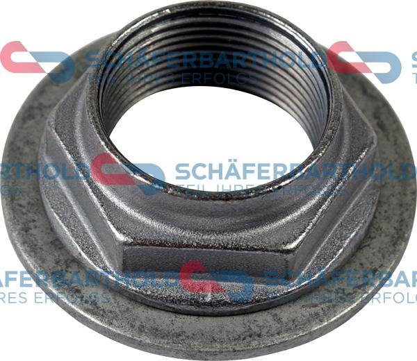 Schferbarthold 100 26 274 01 11 - Piulita,ax aaoparts.ro