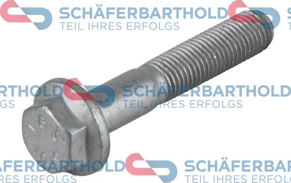 Schferbarthold 100 27 096 01 11 - Surub,capat de ax aaoparts.ro