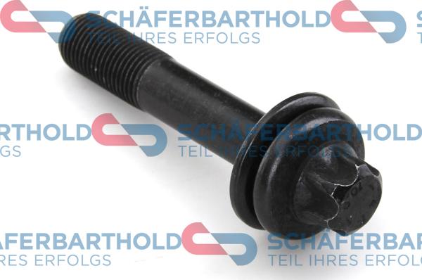 Schferbarthold 100 27 024 01 11 - Surub, roata dintata-ax cu came aaoparts.ro