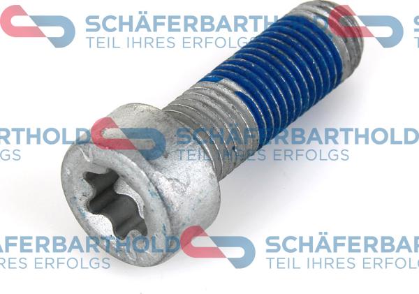 Schferbarthold 100 27 152 01 11 - Surub, etrier aaoparts.ro