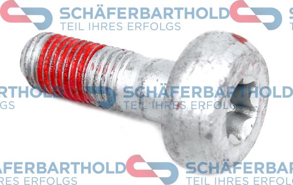 Schferbarthold 100 27 106 01 11 - Surub, etrier aaoparts.ro
