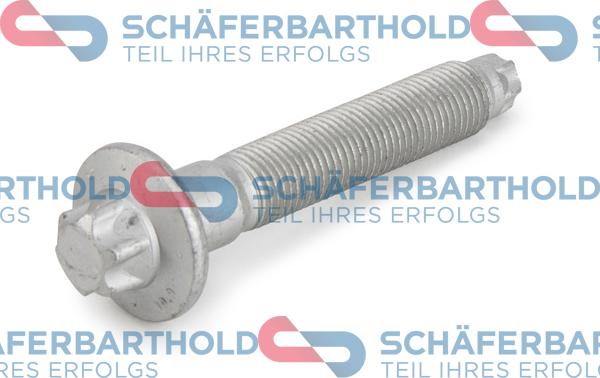 Schferbarthold 100 27 383 01 11 - Surub,capat de ax aaoparts.ro