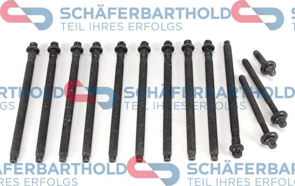 Schferbarthold 100 27 238 01 11 - Set surub, chiulasa aaoparts.ro