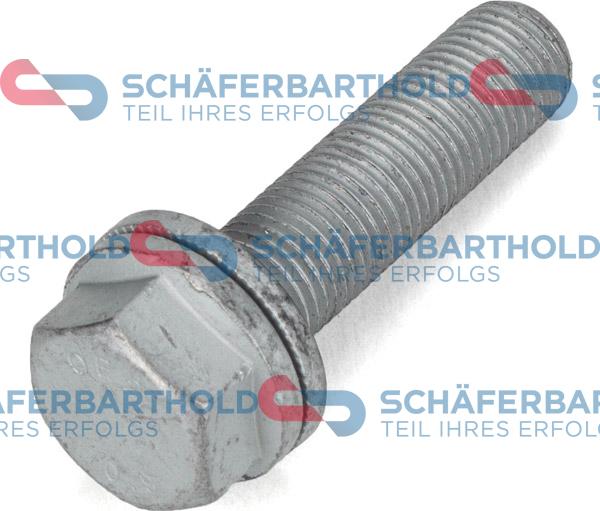 Schferbarthold 395 18 037 01 22 - Surub, etrier aaoparts.ro