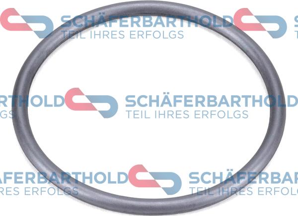 Schferbarthold 395 18 025 01 22 - Garnitura,aerisire bloc motor aaoparts.ro