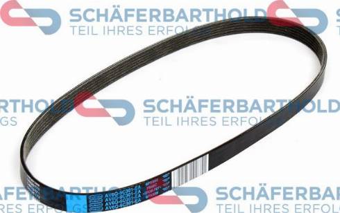 Schferbarthold 300 06 808 01 11 - Curea transmisie cu caneluri aaoparts.ro