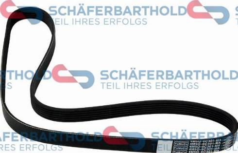 Schferbarthold 300 06 874 01 11 - Curea transmisie cu caneluri aaoparts.ro