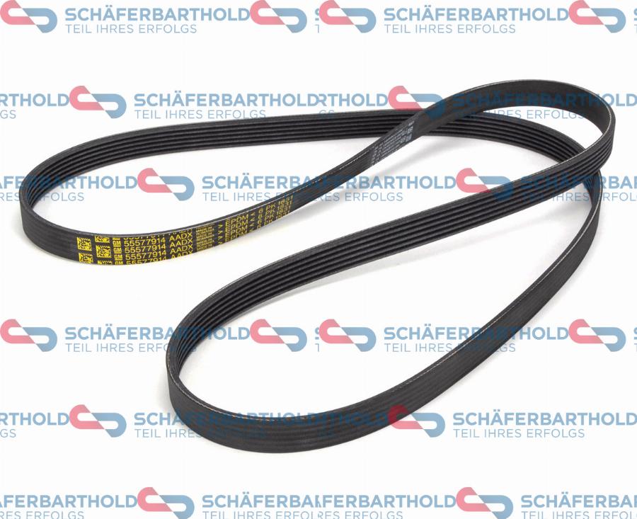 Schferbarthold 300 16 822 01 11 - Curea transmisie cu caneluri aaoparts.ro