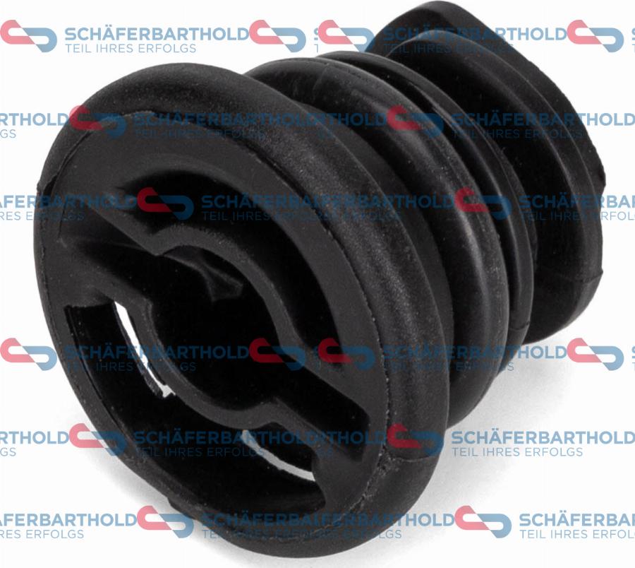 Schferbarthold 319 18 913 01 11 - Surub de golire,baia de ulei aaoparts.ro