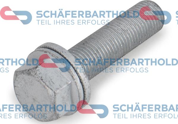 Schferbarthold 319 18 003 01 11 - Surub, etrier aaoparts.ro