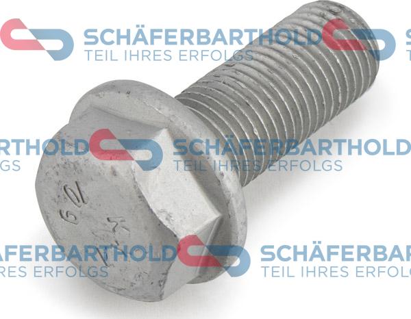Schferbarthold 319 18 002 01 22 - Surub, etrier aaoparts.ro